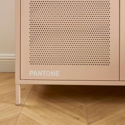 Armadio PANTONE in metallo rosa cipria a 2 ante