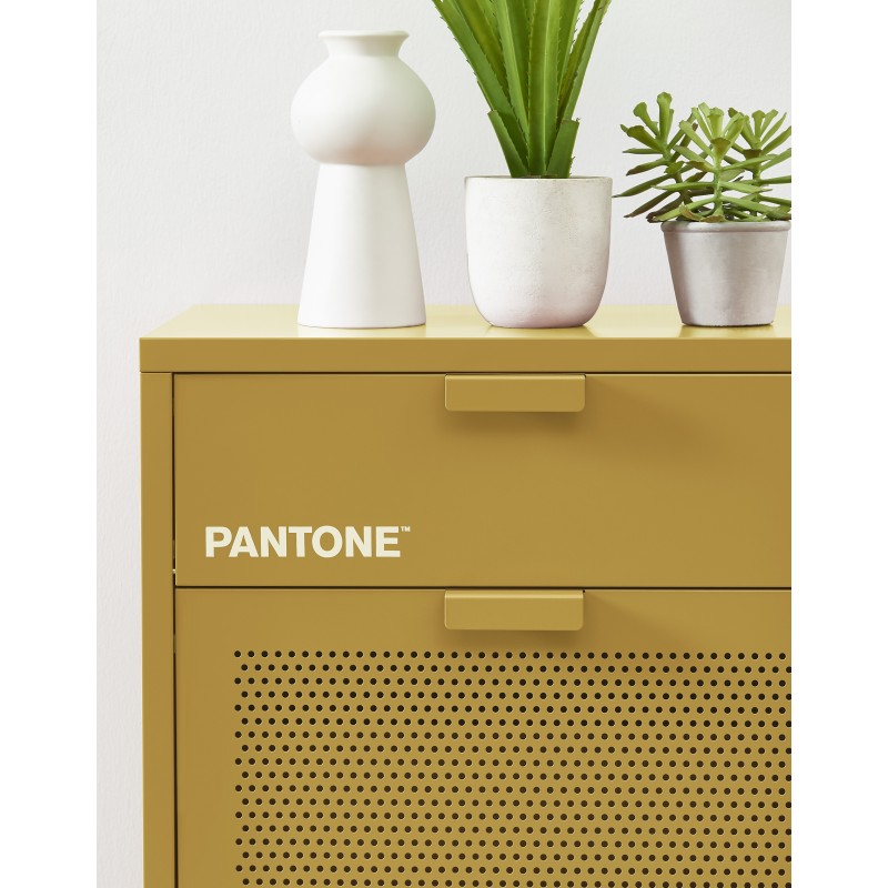 Schuhschrank PANTONE aus senfgelbem Metall, 55 cm