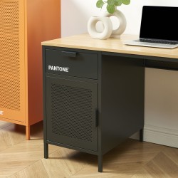 PANTONE Metall-Schreibtisch Anthrazitgrau 120 cm