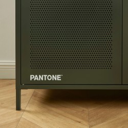 PANTONE-Schrank aus Metall in Olivgrün, 2-türig