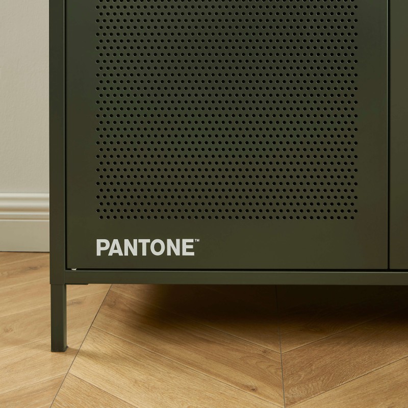 PANTONE-Schrank aus Metall in Olivgrün, 2-türig