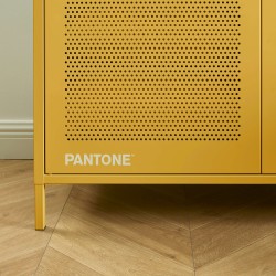 PANTONE-Schrank aus Metall in Senfgelb, 2-türig